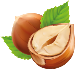 Nut G Harvest 05 E1751895703599 300x275