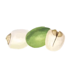 About Lotus Seed G Harvest 01 150x150