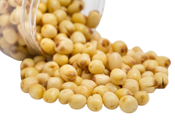 crunchy lotus seed snack (5kg) crunchy lotus seed snack (5kg)