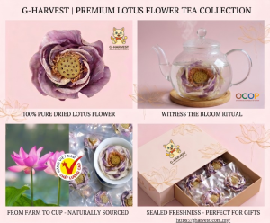 lotus flower tea