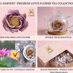 lotus flower tea